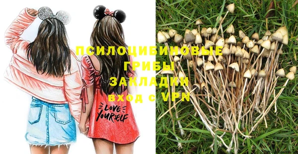 амф Абинск