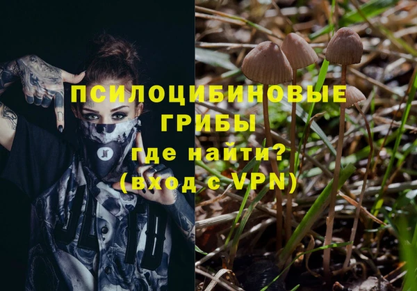 амф Абинск