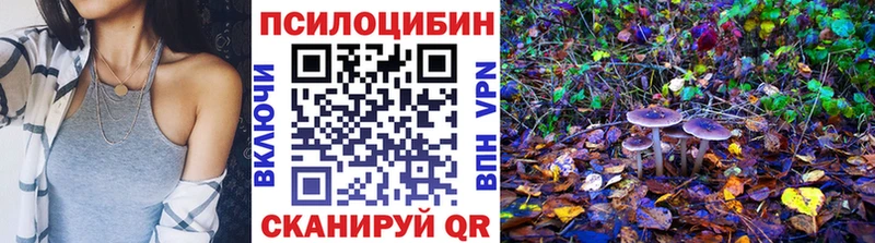 Галлюциногенные грибы Cubensis  что такое   ОМГ ОМГ ONION  Кириллов 